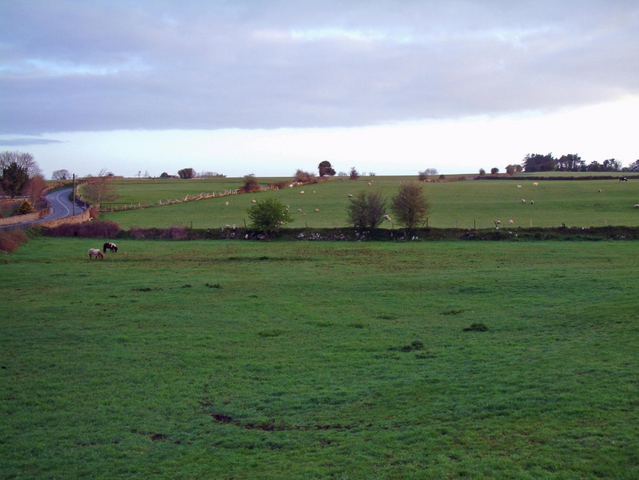 paysage-rural