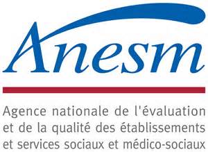 logo-anesm