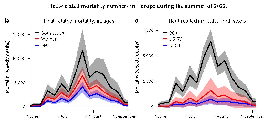 P11 MortaliteCanicule2022 Graph