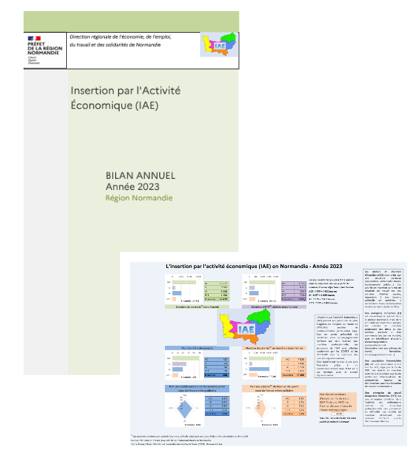 InsertionActiviteEconomique