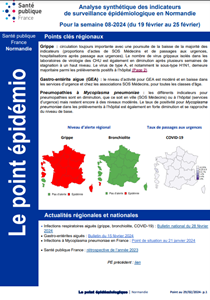 PointEpidemioFevrier2024